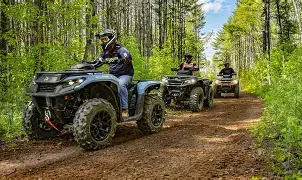 ATVs on a wooded trail