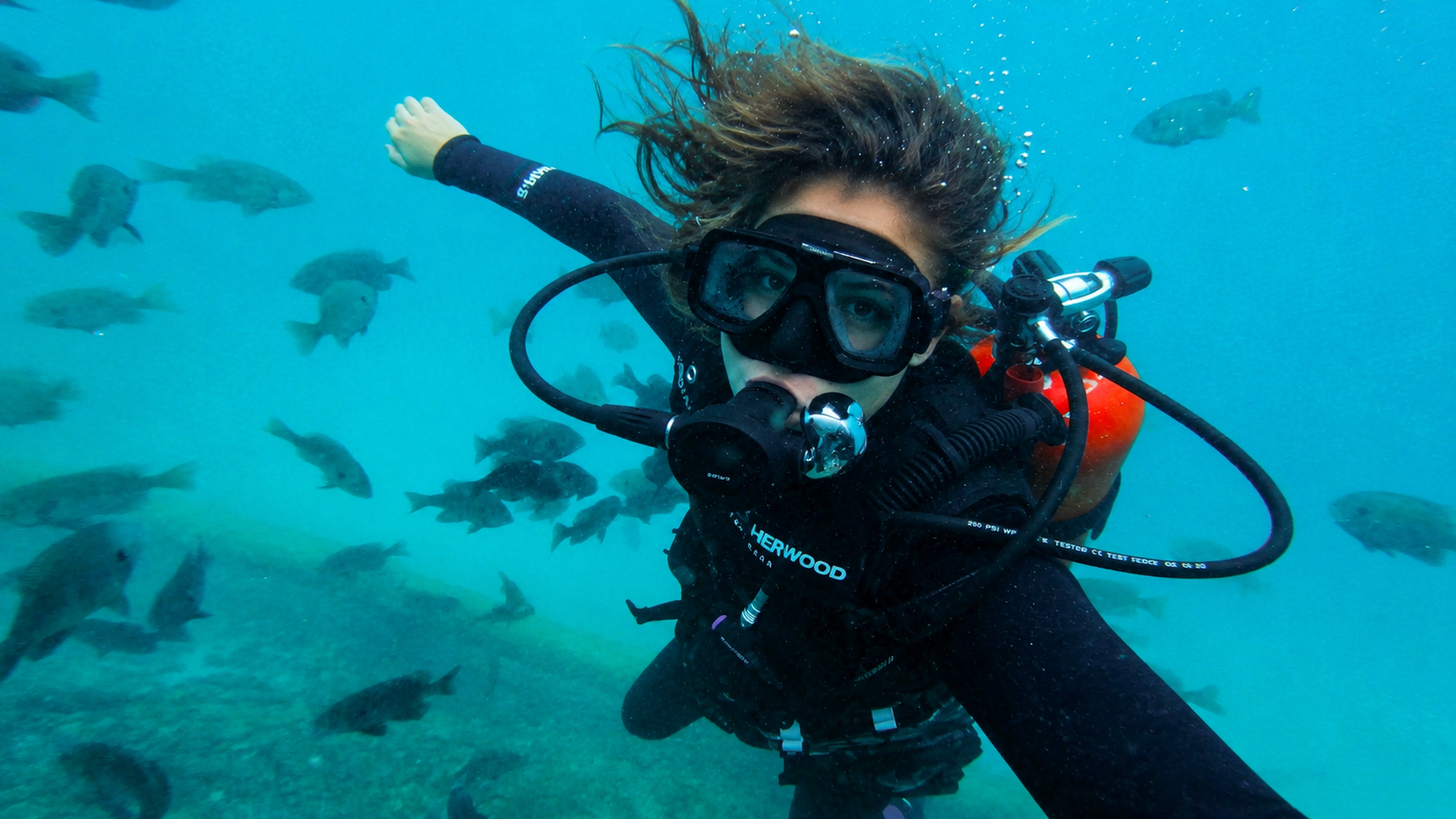 Diver in the spring basin