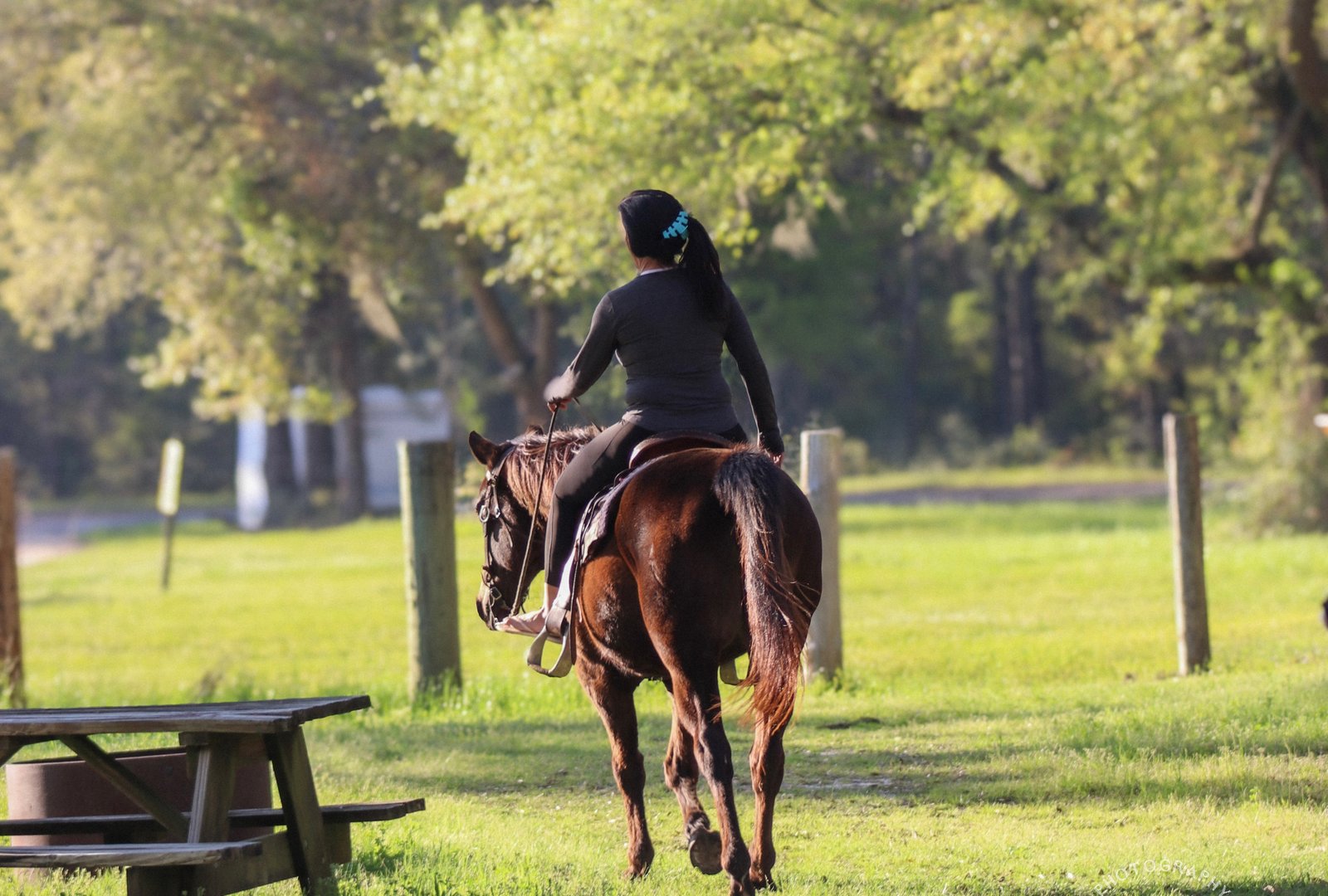 Horseback riding on the Vortex trails