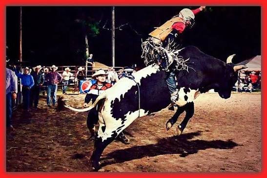 Bull riding under the lights in the arena at Vortex Spring Adventures